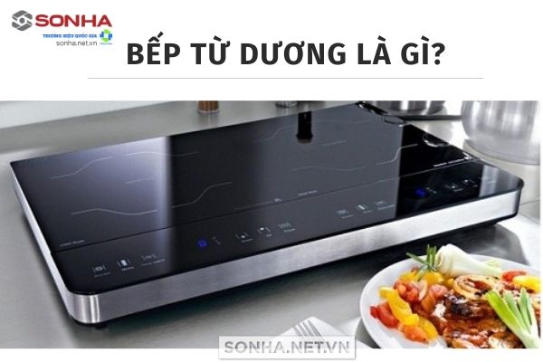 Bếp điện từ dương Sơn Hà