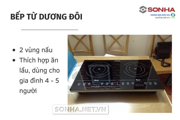 Kiểu dáng bếp điện từ dương đôi