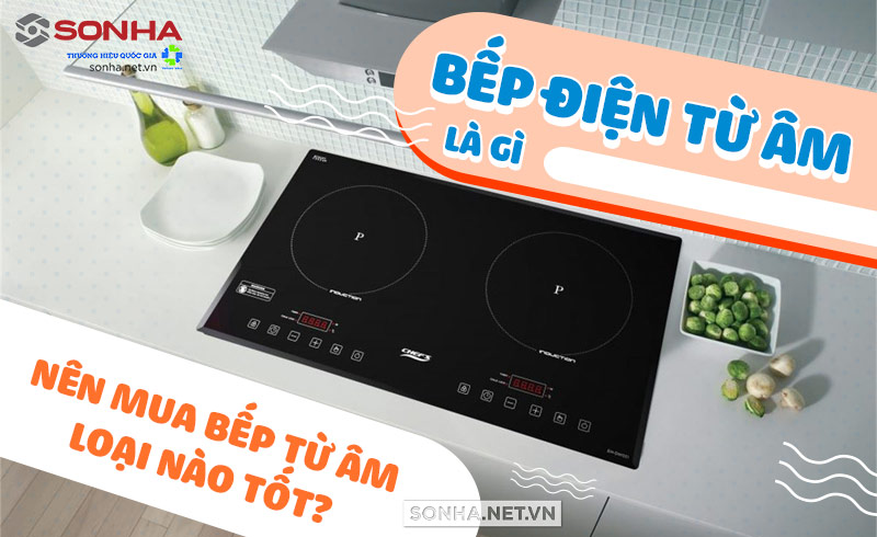 bếp từ âm Sơn Hà